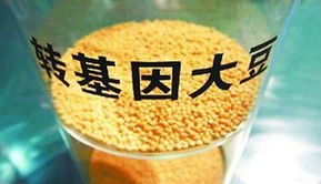 金龍魚陷轉(zhuǎn)基因門風(fēng)波 專家稱安全性尚無定論，對酒類經(jīng)營有何啟示？